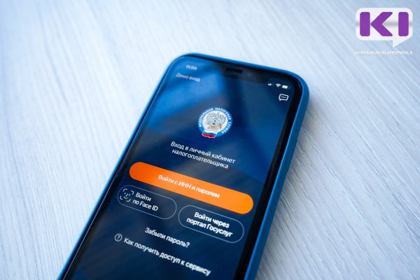 Налоговая служба Коми начала рассылку уведомлений на уплату налогов