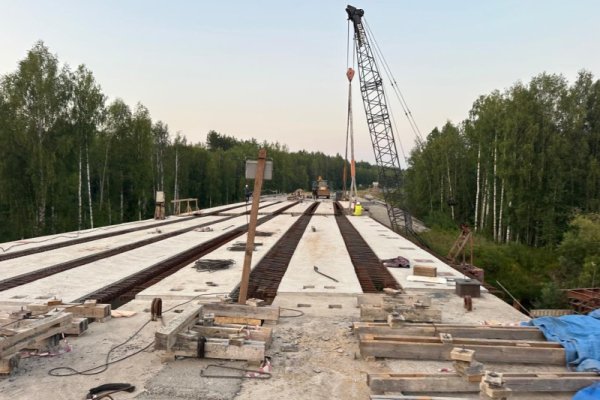 Строительство моста через реку Лемью могут завершить до конца года