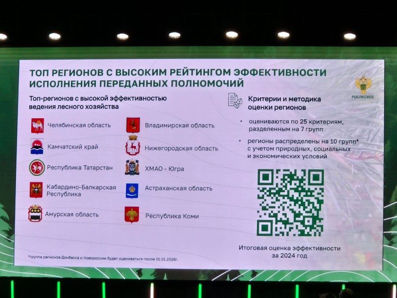 Республика Коми вошла в топ-10 лидеров России по эффективности ведения лесного хозяйства

