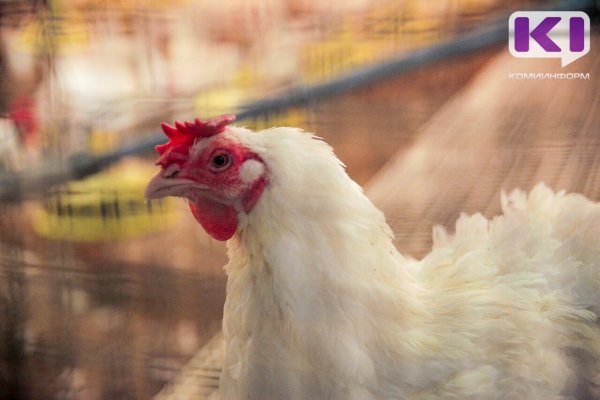 Роспотребнадзор по Вологодской области начал расследование в отношении ООО 