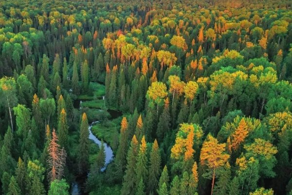 Национальный парк 