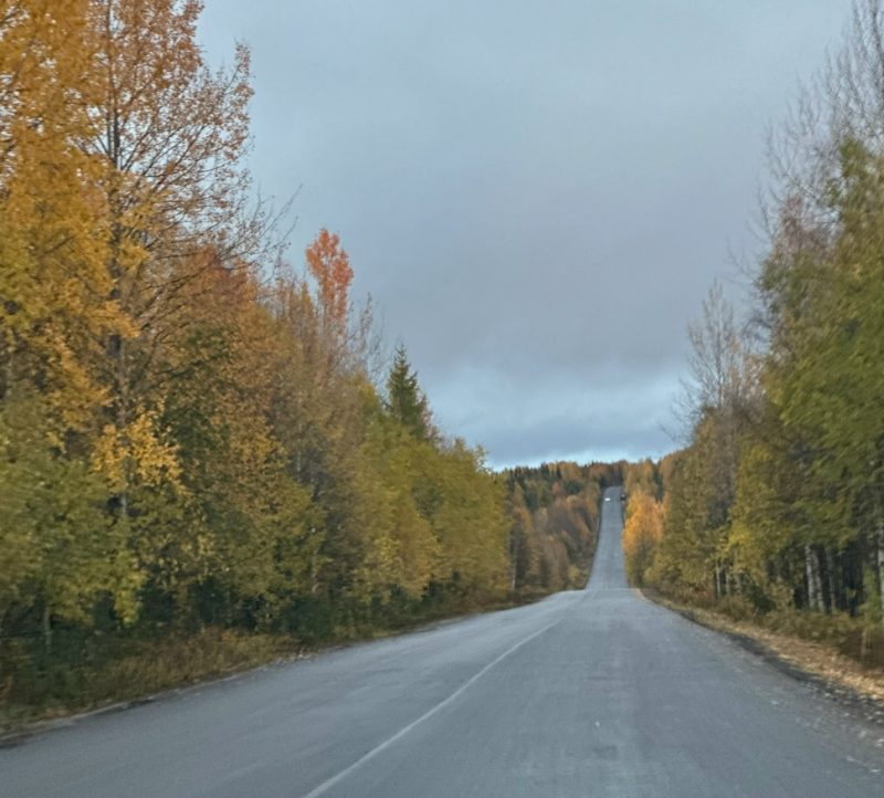 Республика становится ближе к Вуктылу: работы на участке дороги Керки–Дутово в самом разгаре 