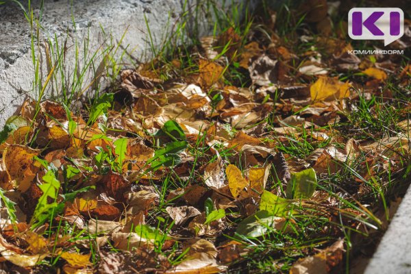 Погода в Коми 28 сентября: местами дождь, мокрый снег, +4...+9°С