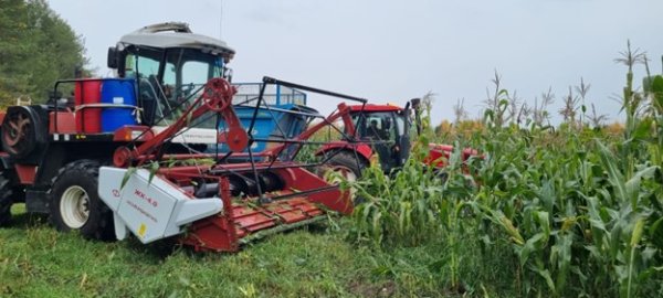 В Коми завершается кормозаготовительная кампания 2025 года

