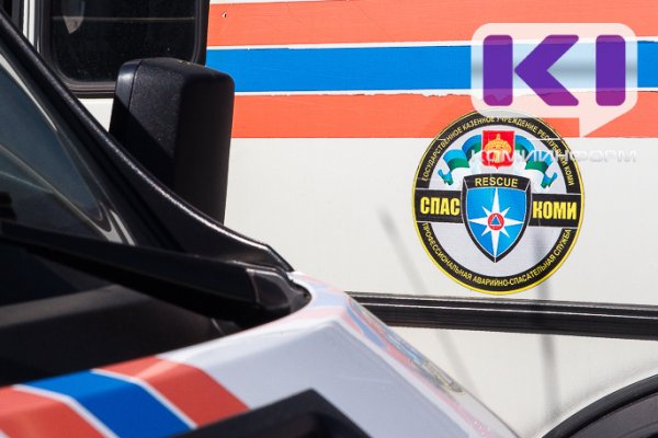 Геолокация может спасти жизнь: в Коми любительницу тихой охоты нашли в 2 км от автомобиля 