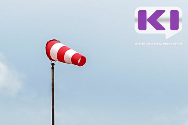 МЧС предупреждает о сильном ветре в нескольких районах Коми 