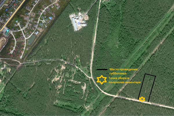 Сыктывкарцев приглашают на всероссийский субботник 