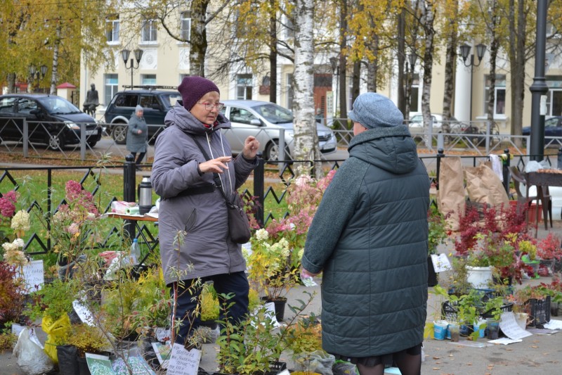 В Выльгорте развернулась ярмарка "Урожай-2025"