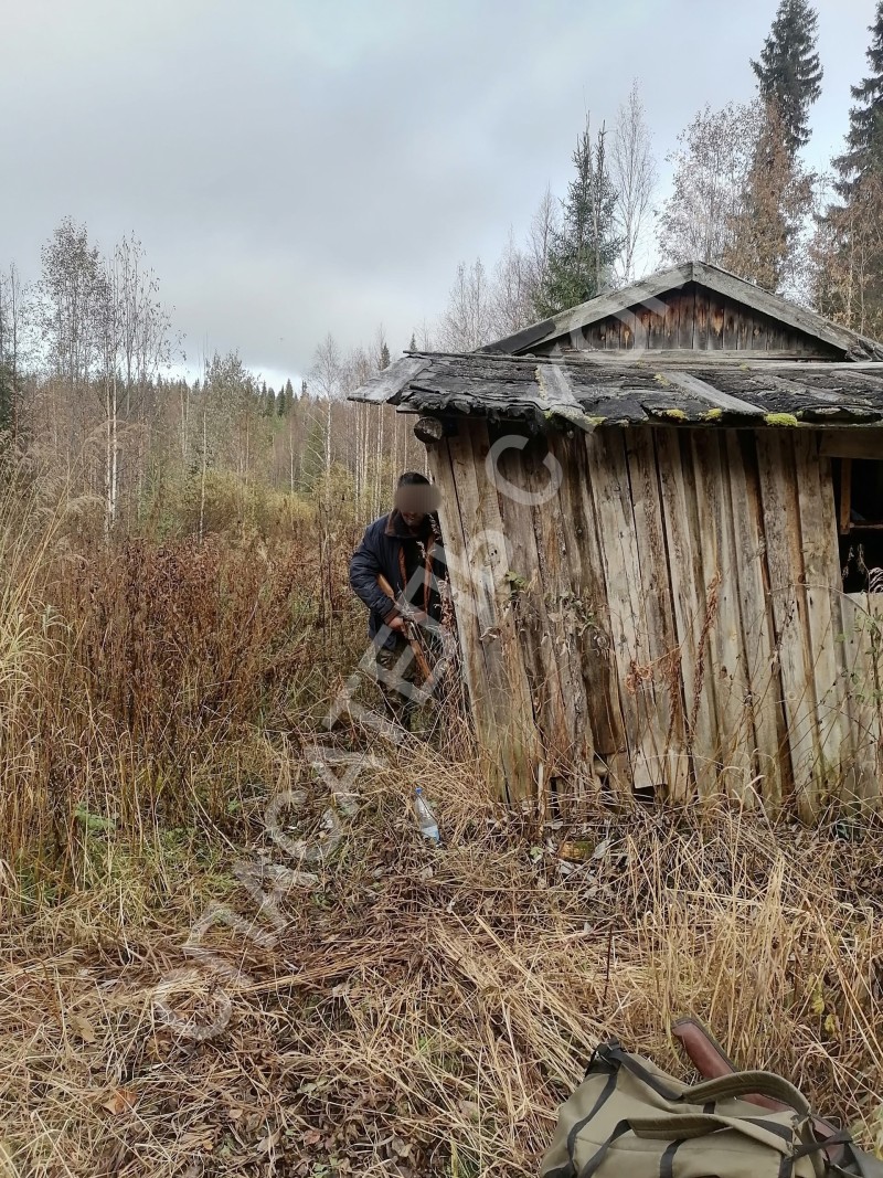 В Ухте из леса эвакуировали охотника с ожогами лица и рук 