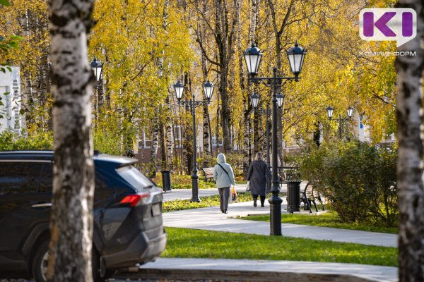 Погода в Коми 4 октября: +11°С, без осадков