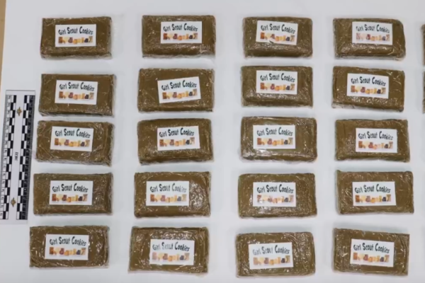 Полиция Коми изъяла у двух сбытчиков 3 кг гашиша и ещё 2,5 кг наркотика из 28 сделанных ими схронов