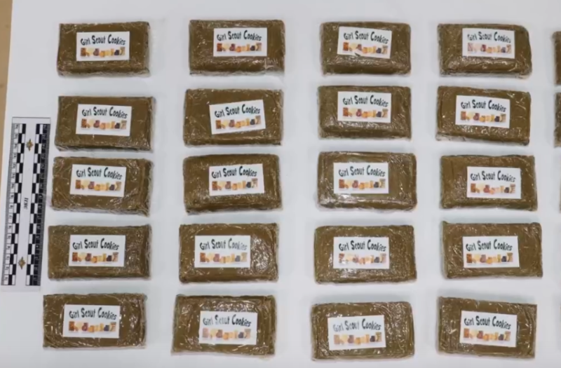 Полиция Коми изъяла у двух сбытчиков 3 кг гашиша и ещё 2,5 кг наркотика из 28 сделанных ими схронов