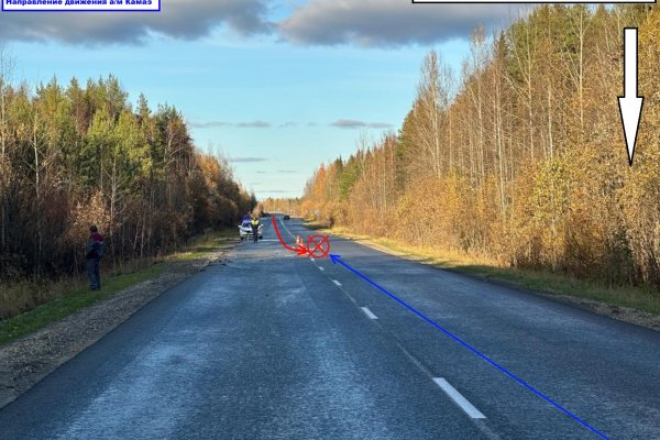 В Княжпогостском районе водитель 