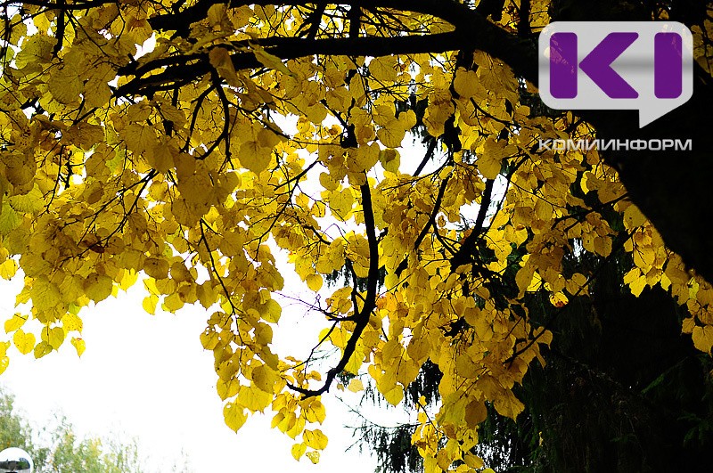 Погода в Коми 5 октября: небольшие осадки, на севере снег