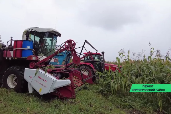 В Корткеросском районе завершается уборка кукурузы