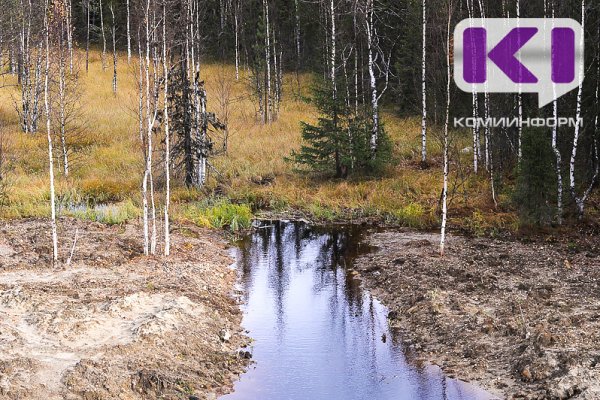 Горе-любовь: в Сыктывдинском районе после ссоры с мужчиной пропала женщина 