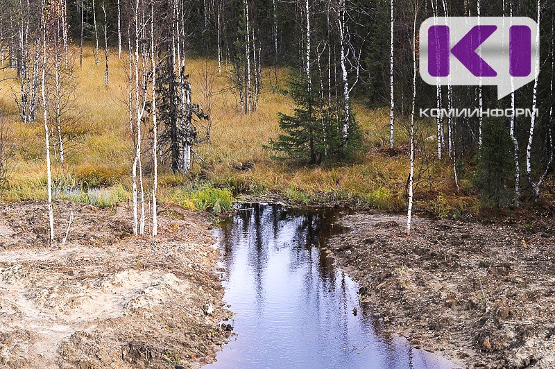 Горе-любовь: в Сыктывдинском районе после ссоры с мужчиной пропала женщина 