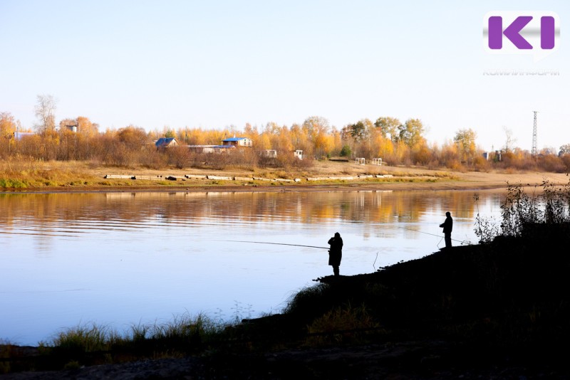 Погода в Коми 11 октября: преимущественно без осадков, на севере сильный ветер