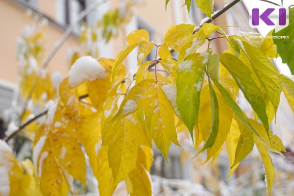 Погода в Коми 12 октября: дождь со снегом и порывистый ветер