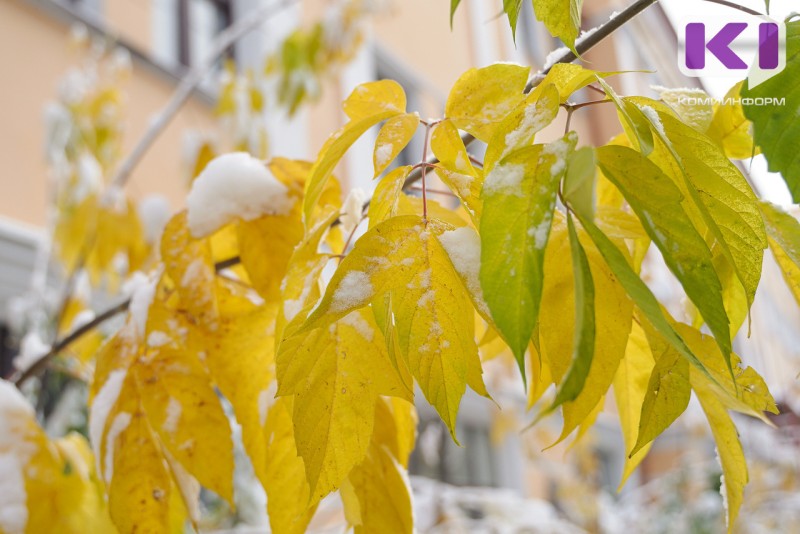 Погода в Коми 12 октября: дождь со снегом и порывистый ветер