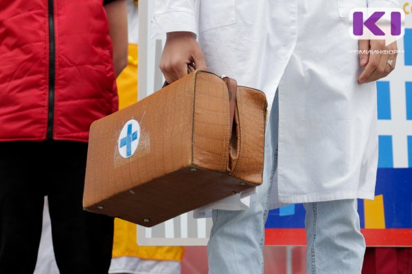 В сентябре в Коми провели 409 бесплатных операций по стерилизации и кастрации собак и кошек 