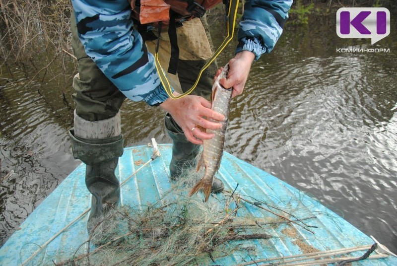 Рыболов из Инты оштрафован за ловлю 6 сетями в запрещенный период