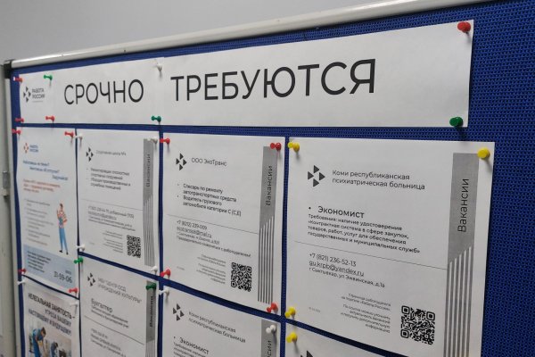 На рынке труда Сыктывкара безработица на минимальном уровне, заработные платы растут - Центр занятости населения