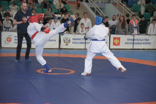 Около 100 спортсменов примут участие в Республиканском турнире по рукопашному бою в Сыктывкаре
