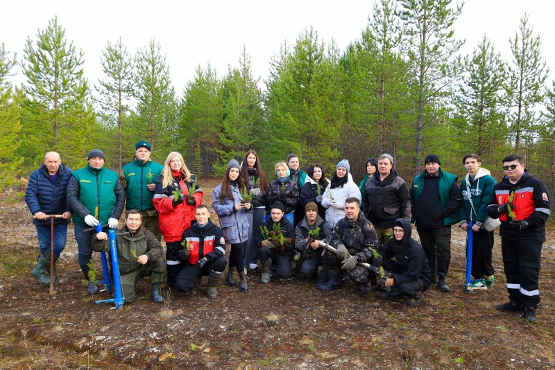 Экологи ЛУКОЙЛ-ПЕРМИ высадили около полутора тысяч молодых елей