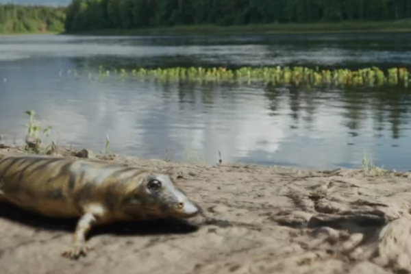 В России вышел научно-популярный сериал с участием известного палеонтолога из Коми
