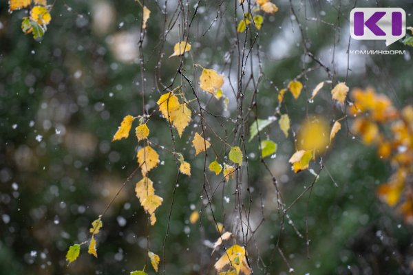 Погода в Коми 16 октября: дождь, мокрый снег, южный ветер