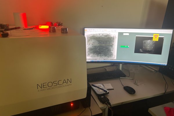 Ученые Коми с помощью 3D-томографии узнали, как снизить негативное влияние лесозаготовительной техники на почву