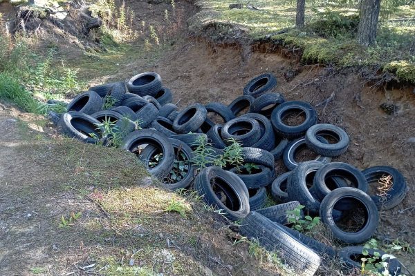 Вместо грибов — куча шин: как жительница Краснозатонского помогла очистить лес