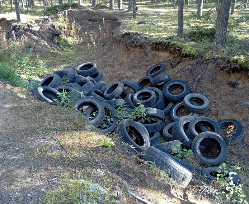Вместо грибов — куча шин: как жительница Краснозатонского помогла очистить лес