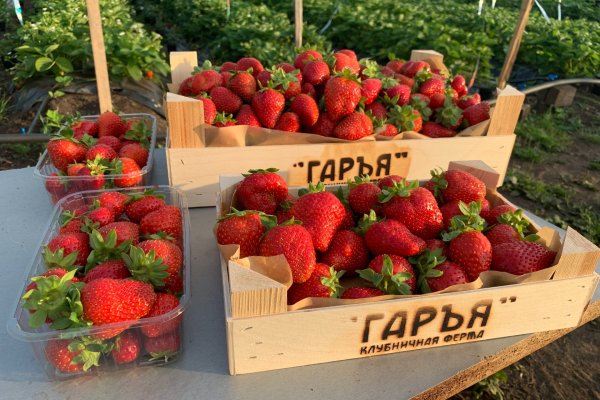 Начинающие фермеры Коми получили господдержку на 130 млн рублей