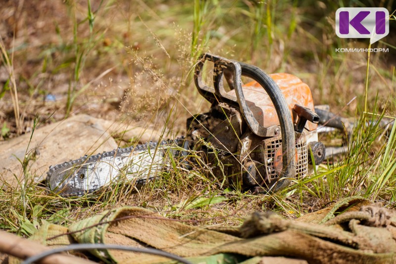 В Усть-Вымском районе полицейские раскрыли кражу бензопилы с дачного участка

