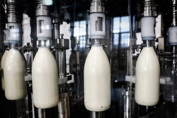 В Коми обеспечен высокий уровень внедрения маркировки товаров на пищевых предприятиях