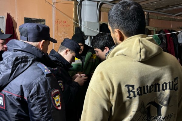 В Сыктывкаре выявлено 40 нарушений в сфере миграции