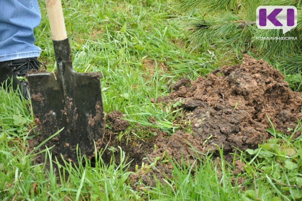 В саду и огороде: в Северо-Западном федеральном округе вырос спрос на разнорабочих

