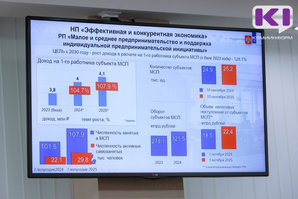 Численность занятых в бизнесе в Коми за год увеличилась на 6,3 тыс. человек