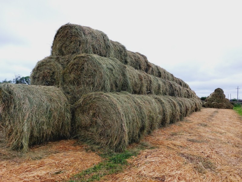 В Коми подводят итоги уборочной и кормозаготовительной кампаний