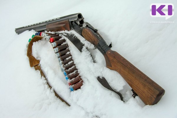 Полицейские Удорского района возбудили уголовное дело по факту незаконного хранения огнестрельного оружия