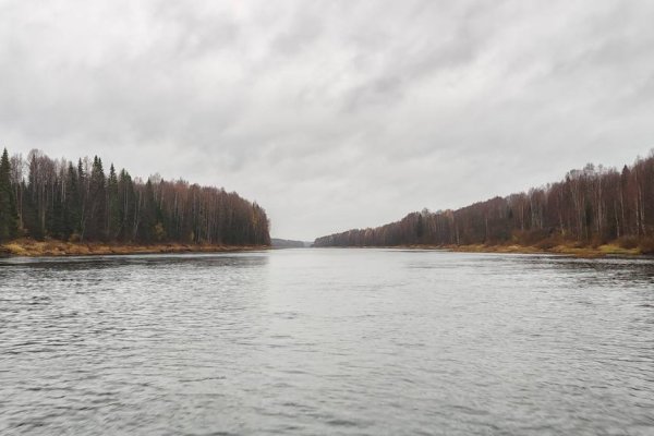 В региональном заказнике 