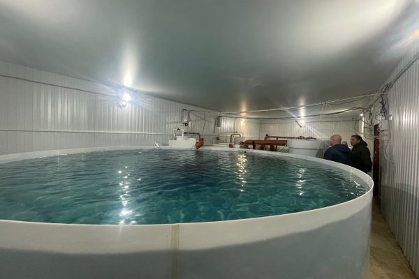 В Усть-Куломском районе оценили проект по выращиванию радужной форели