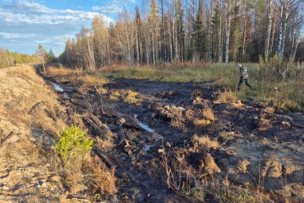 Минприроды Коми выявило серьезные недостатки в работе некоторых нефтяных компаний