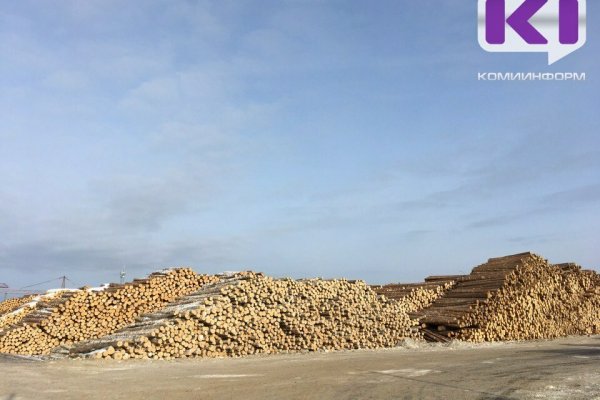 С начала года Управление Россельхознадзора проверило более 1,3 млн кубометров экспортной лесопродукции из Коми