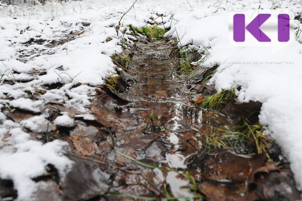 Погода в Коми 7 ноября: дождь, мокрый снег