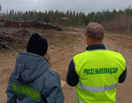 В Коми с помощью БПЛА выявлены нарушения в области карантина растений

