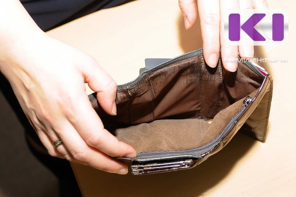 В Княжпогостском районе в суд направлено уголовное дело о невыплате зарплаты 28 работникам сельхозпредприятия

