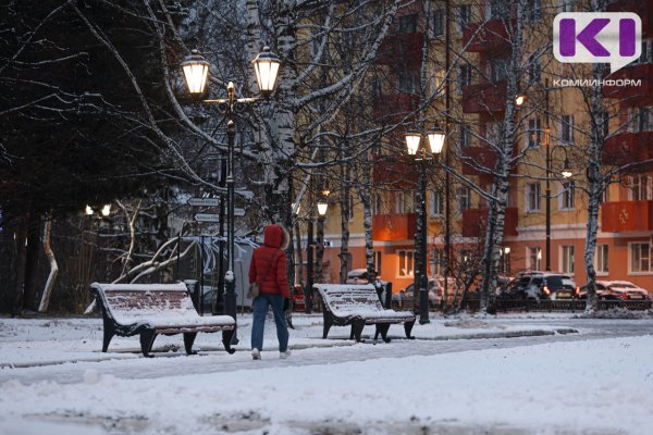 Погода в Коми 13 ноября: снег, местами метель